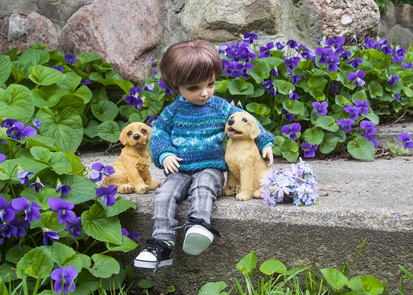 Puppies